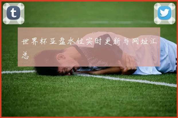 世界杯亚盘水位实时更新与网址汇总
