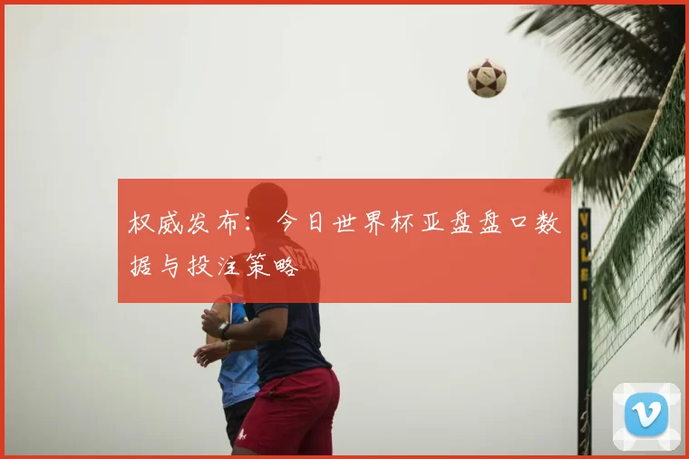 权威发布：今日世界杯亚盘盘口数据与投注策略