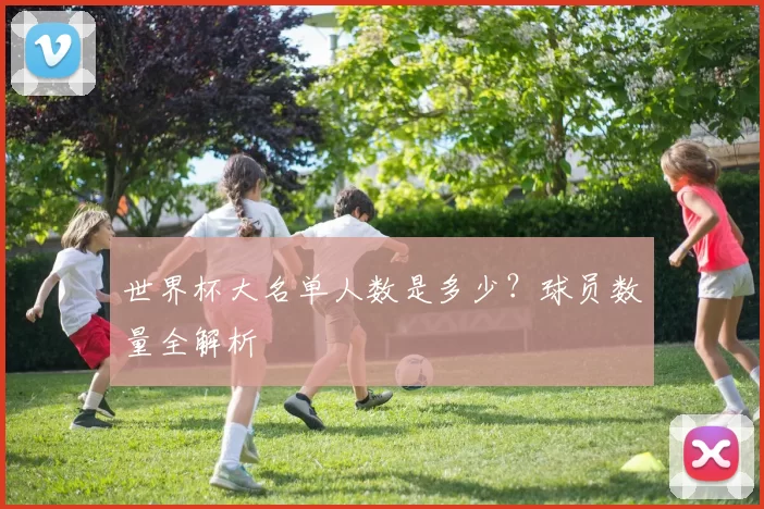 世界杯大名单人数是多少？球员数量全解析