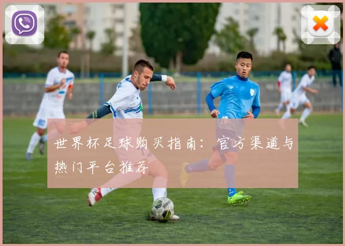 世界杯足球购买指南：官方渠道与热门平台推荐