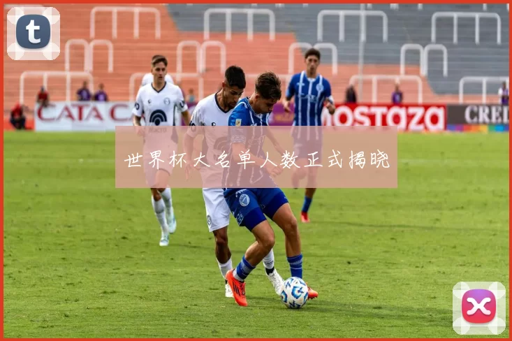 世界杯大名单人数正式揭晓