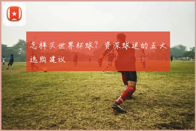 怎样买世界杯球？资深球迷的五大选购建议