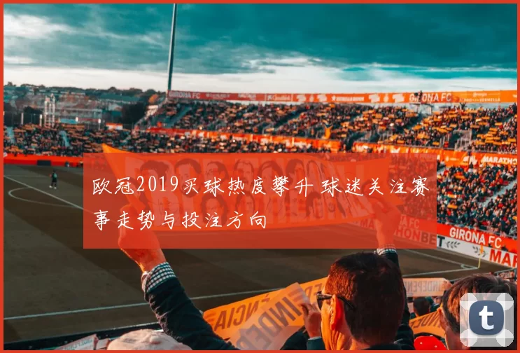 欧冠2019买球热度攀升 球迷关注赛事走势与投注方向