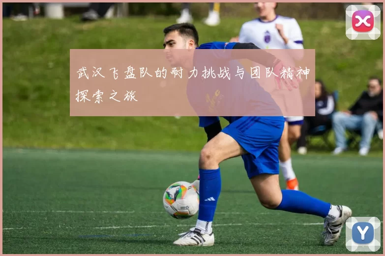 武汉飞盘队的耐力挑战与团队精神探索之旅