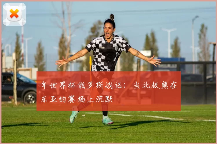 年世界杯俄罗斯战记：当北极熊在东亚的赛场上沉默