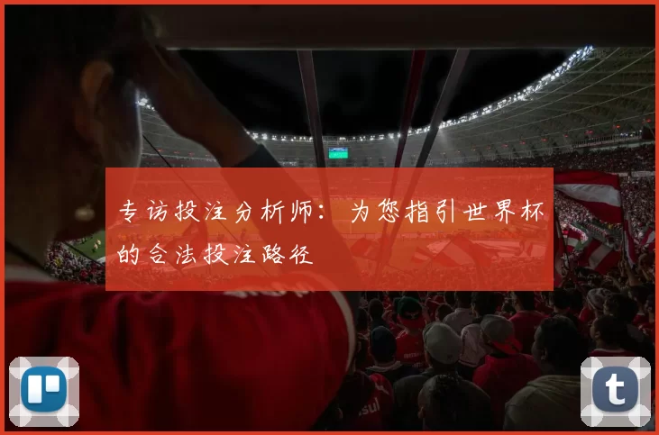 专访投注分析师：为您指引世界杯的合法投注路径