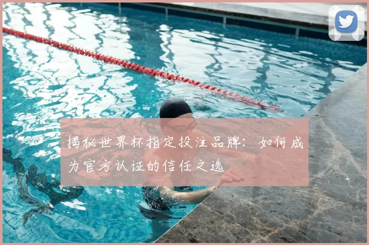 揭秘世界杯指定投注品牌：如何成为官方认证的信任之选