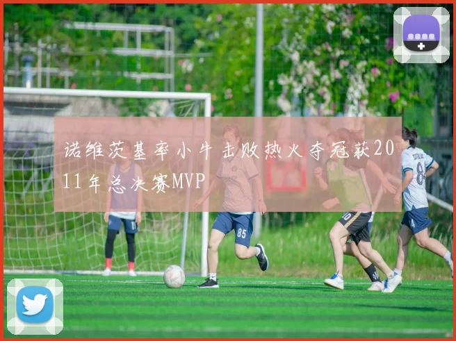 诺维茨基率小牛击败热火夺冠获2011年总决赛MVP