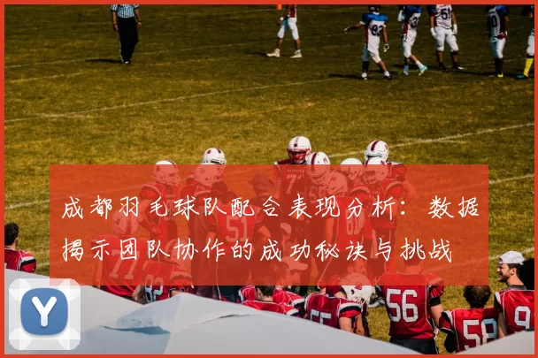 成都羽毛球队配合表现分析：数据揭示团队协作的成功秘诀与挑战