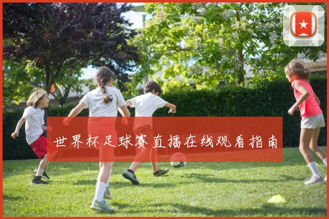 世界杯足球赛直播在线观看指南