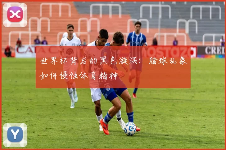 世界杯背后的黑色漩涡：赌球乱象如何侵蚀体育精神