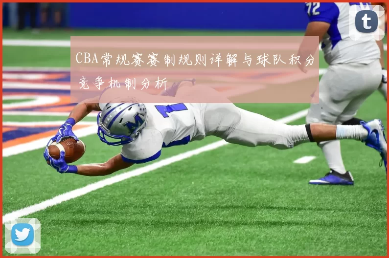 CBA常规赛赛制规则详解与球队积分竞争机制分析