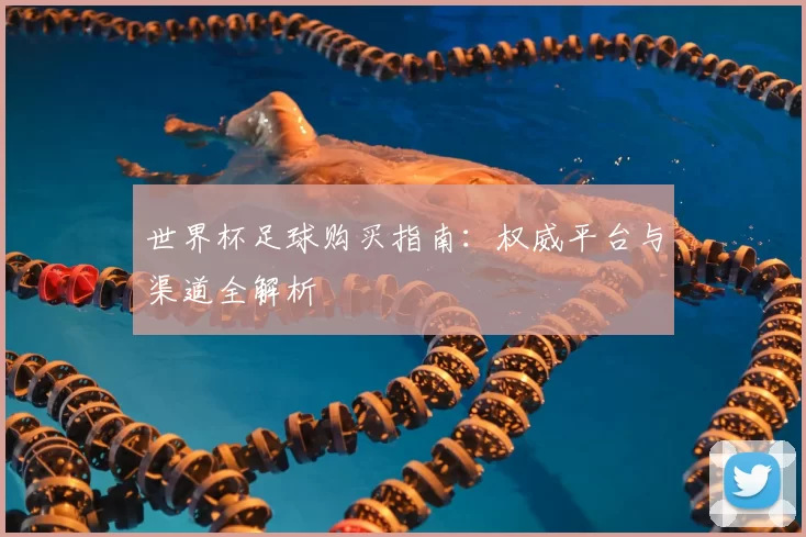 世界杯足球购买指南：权威平台与渠道全解析