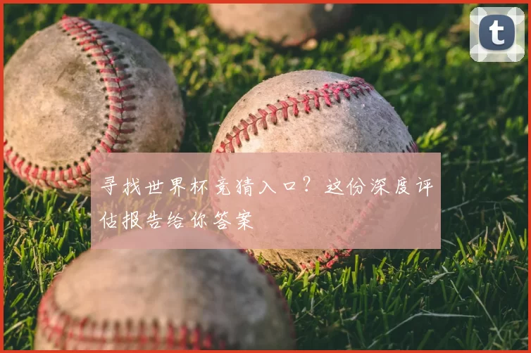 寻找世界杯竞猜入口？这份深度评估报告给你答案