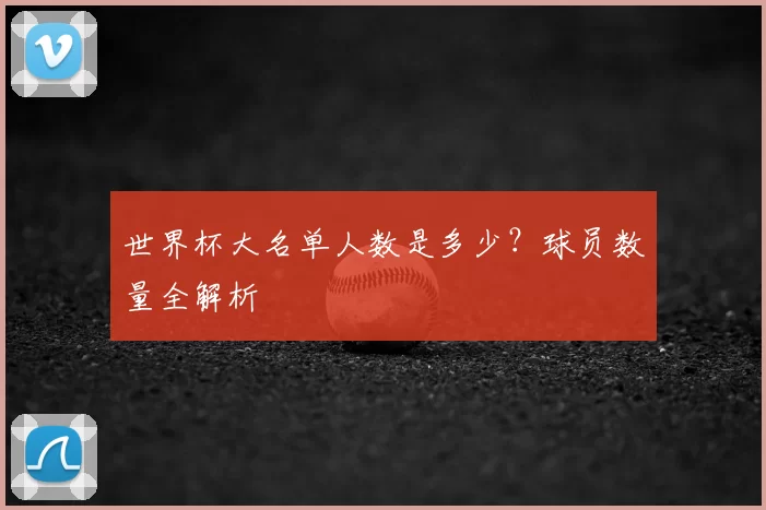 世界杯大名单人数是多少？球员数量全解析