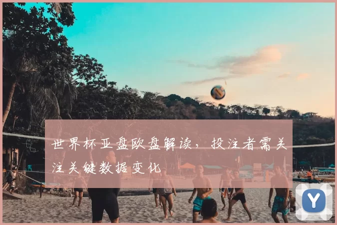世界杯亚盘欧盘解读，投注者需关注关键数据变化