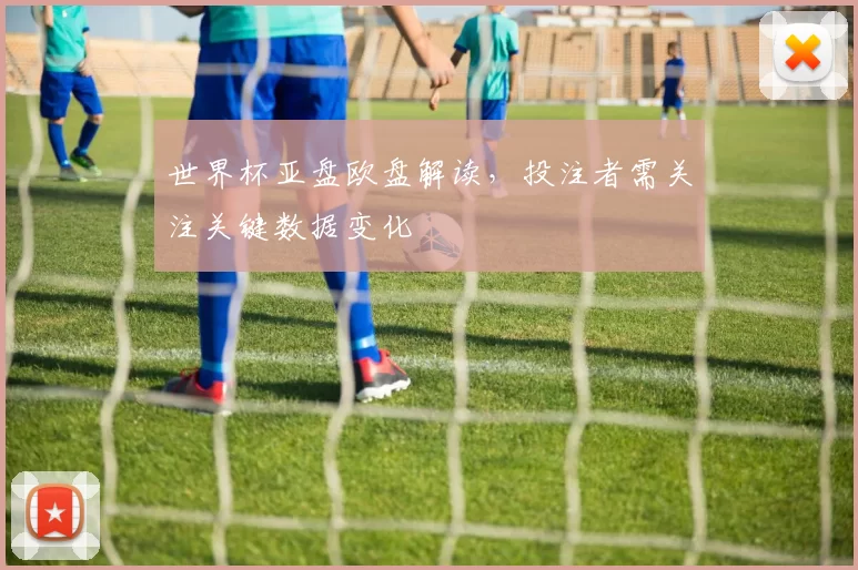 世界杯亚盘欧盘解读,投注者需关注关键数据变化