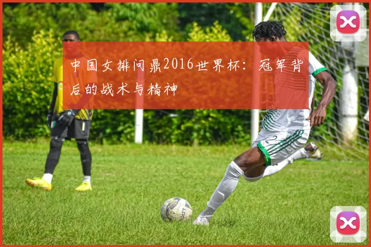 中国女排问鼎2016世界杯:冠军背后的战术与精神