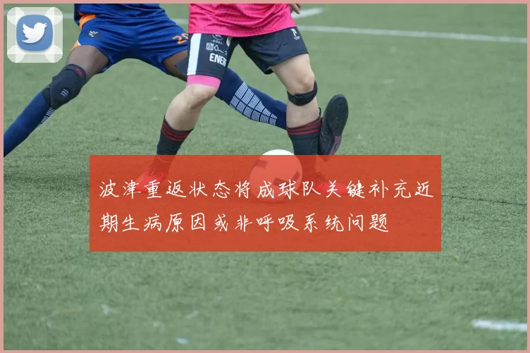 波津重返状态将成球队关键补充近期生病原因或非呼吸系统问题