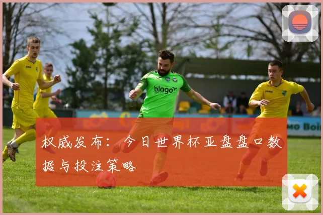 权威发布：今日世界杯亚盘盘口数据与投注策略