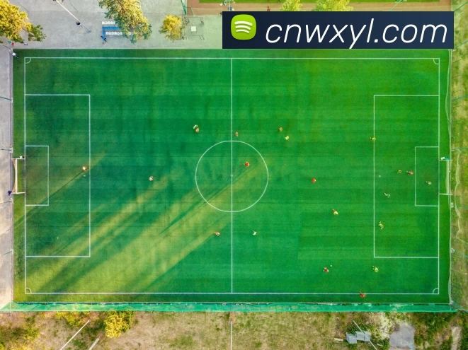 开云平台生态图